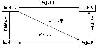 初中化学易错题汇编