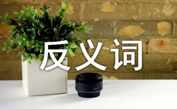奔波的近义词|反义词及造句