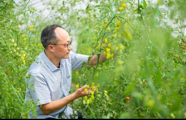 立志投身乡村振兴的53岁在校大学生