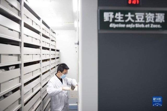 开创维护国家安全的崭新局面——新时代中国维护国家安全述评