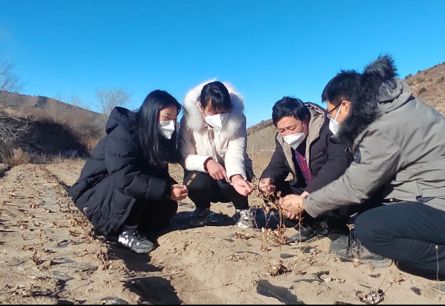 燕山大学：乡村振兴一年间