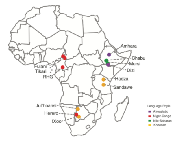 复旦宾大合作团队历时七年揭示非洲人群复杂演化