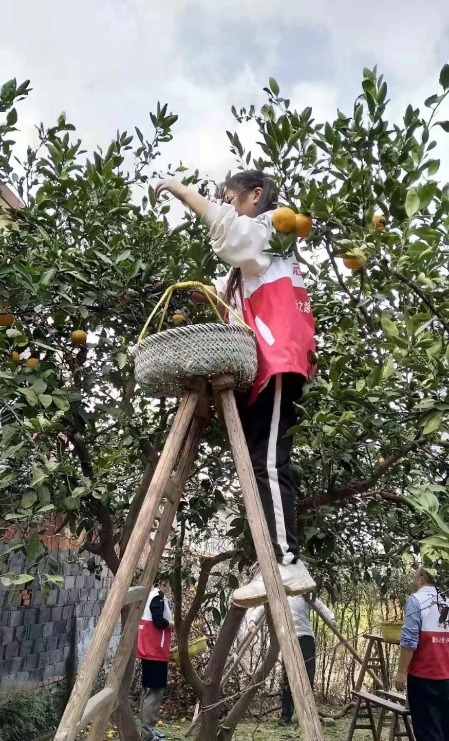 宁波一大学生3年累计志愿服务3000多小时