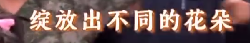 春晚这个节目让无数网友点赞！原来，字幕里全是彩蛋