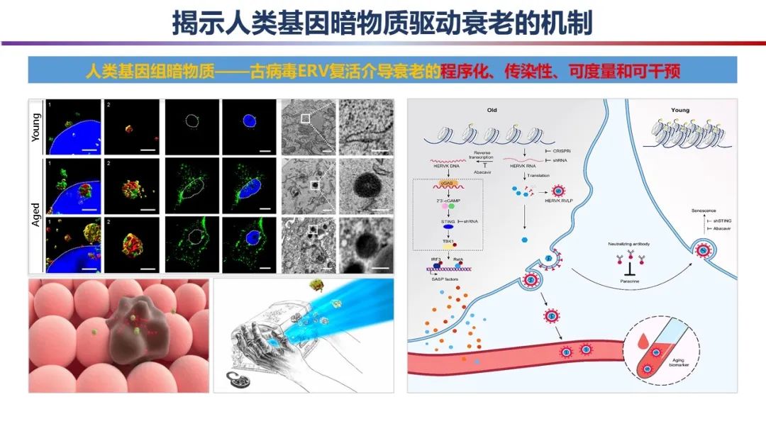 国家自然科学基金委员会发布2023年度“中国科学十大进展”