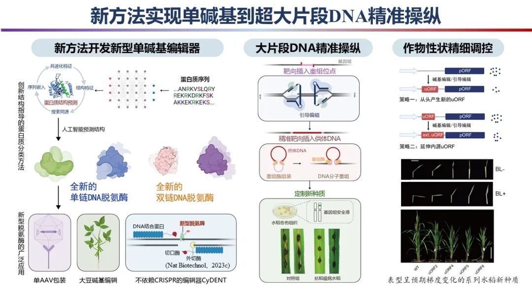 国家自然科学基金委员会发布2023年度“中国科学十大进展”