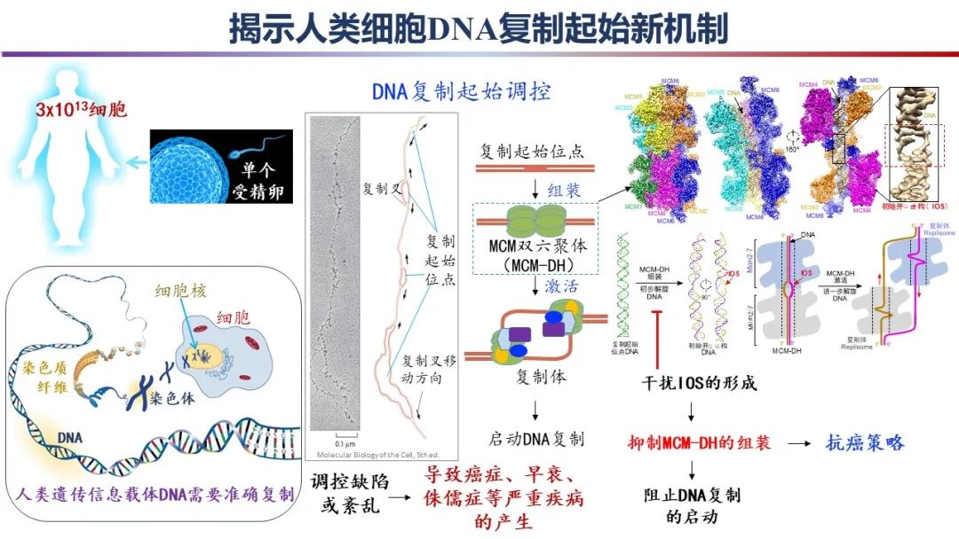 国家自然科学基金委员会发布2023年度“中国科学十大进展”