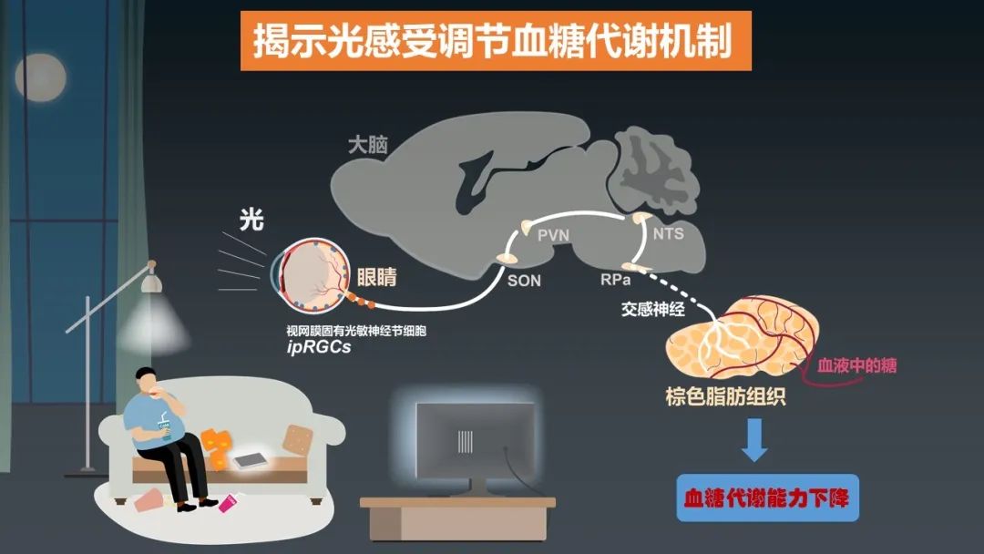 国家自然科学基金委员会发布2023年度“中国科学十大进展”