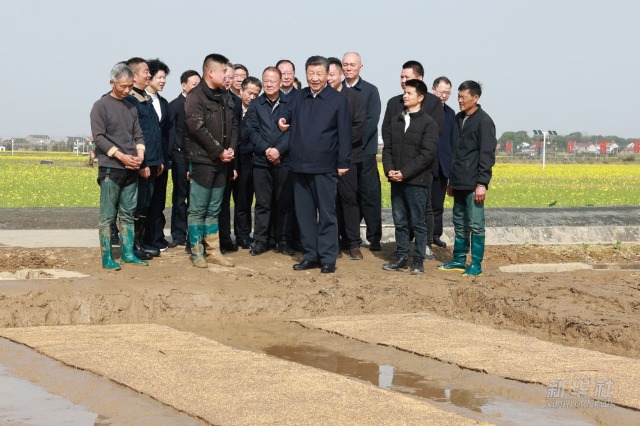 习近平在湖南常德市考察调研