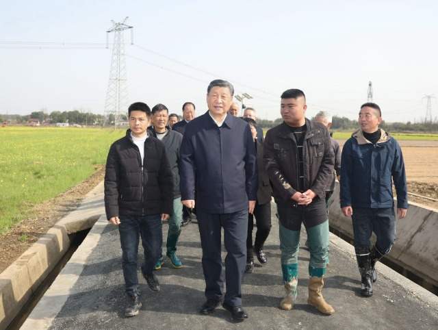 在水稻田边，总书记强调抓好春耕备耕