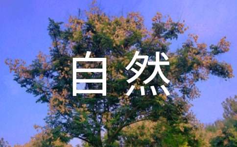 小学五年级作文：大自然的声音