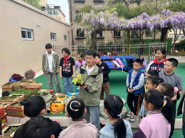 青岛上清路小学：中草药文化“种”进校园