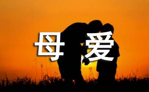 伟大的母爱五年级作文