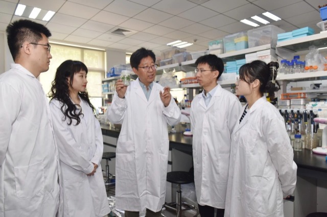山东农业大学李传友教授团队发现植物界“再生指挥官”