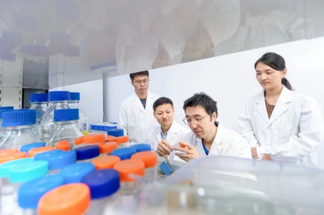 上海师范大学：建立水稻遗传解析新体系