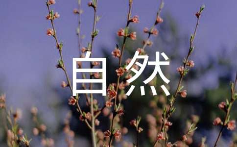 大自然启示四年级作文