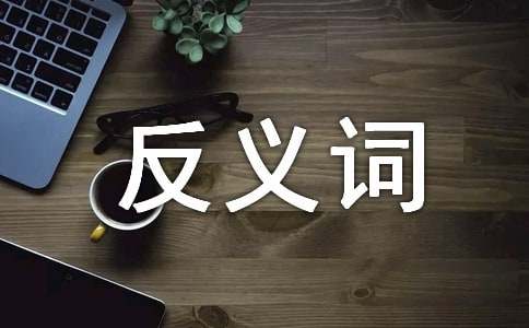 主张的近义词和反义词介绍