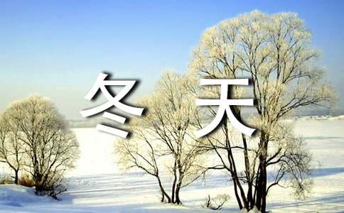 冬天的高二作文