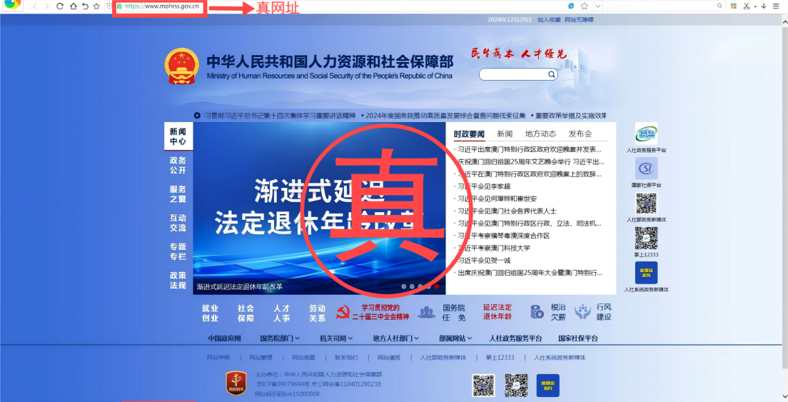 网信办处理518个仿冒诈骗类网站平台，涉及教育部学信网等