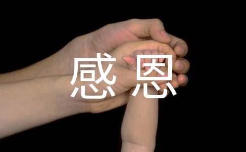 感恩父母高二作文